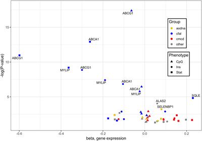 Statin Use Associates With Risk of Type 2 Diabetes via Epigenetic Patterns at ABCG1